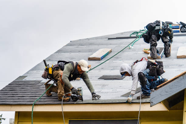 Professional Storm Damage Roof Repair technician working in Milano, TX